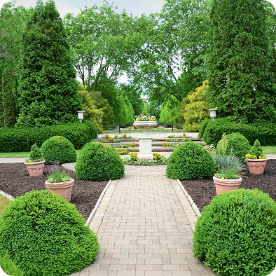 Познавательное направление