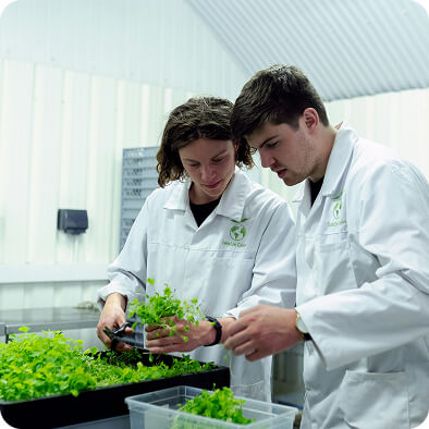 Научное направление